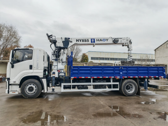 Telescopic Boom Truck Mounted Crane