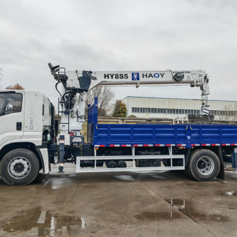 Telescopic Boom Truck Mounted Crane